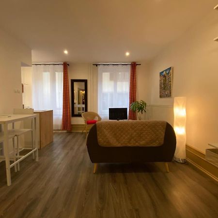L'Ours de Colmar - Appartements en centre ville Extérieur photo