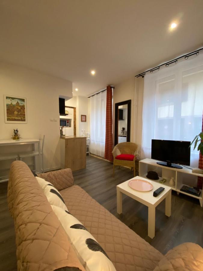 L'Ours de Colmar - Appartements en centre ville Extérieur photo