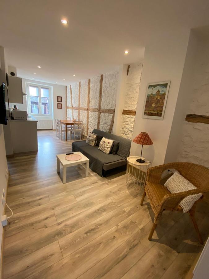 L'Ours de Colmar - Appartements en centre ville Extérieur photo
