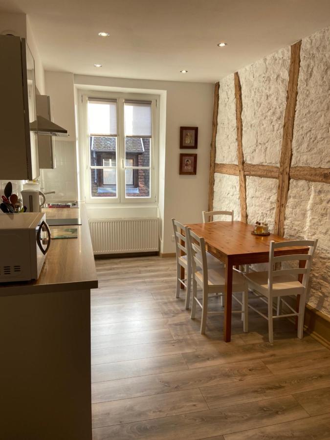 L'Ours de Colmar - Appartements en centre ville Extérieur photo