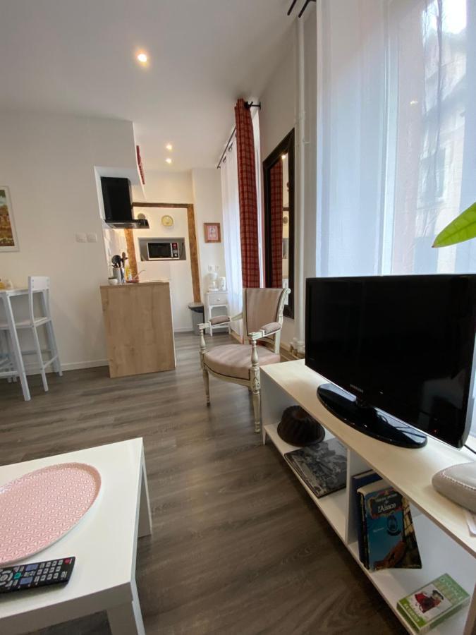L'Ours de Colmar - Appartements en centre ville Extérieur photo