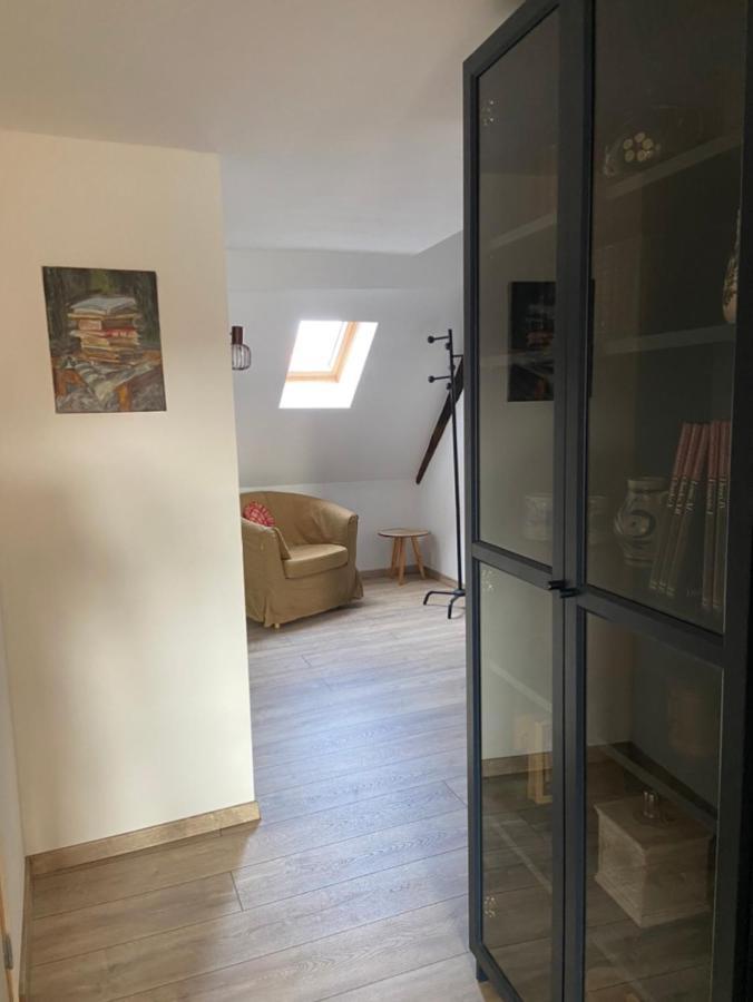 L'Ours de Colmar - Appartements en centre ville Extérieur photo