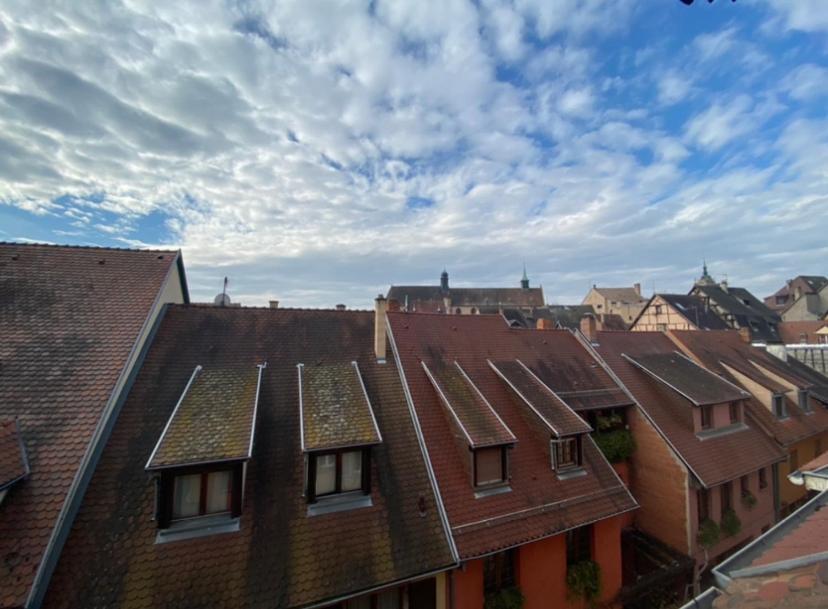 L'Ours de Colmar - Appartements en centre ville Extérieur photo