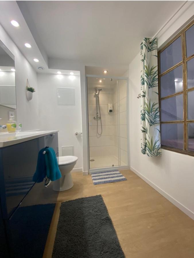 L'Ours de Colmar - Appartements en centre ville Extérieur photo