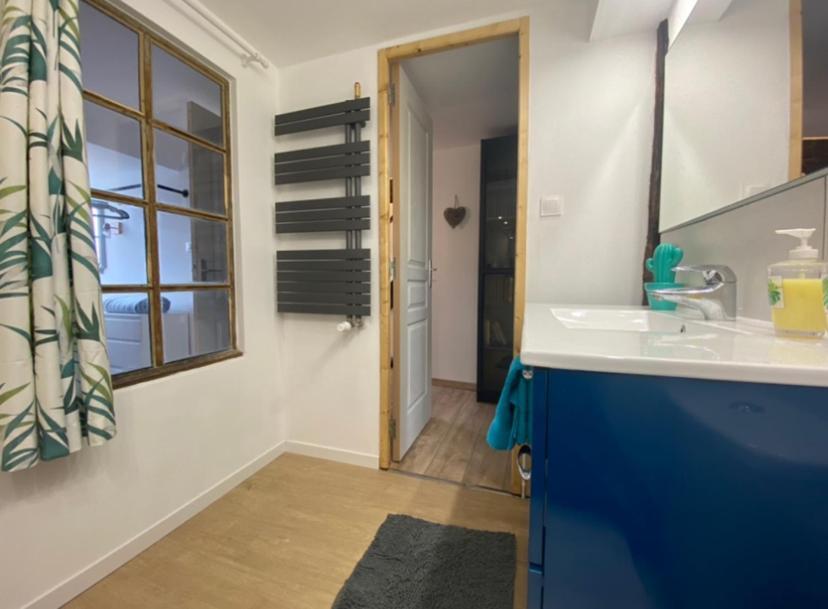 L'Ours de Colmar - Appartements en centre ville Extérieur photo