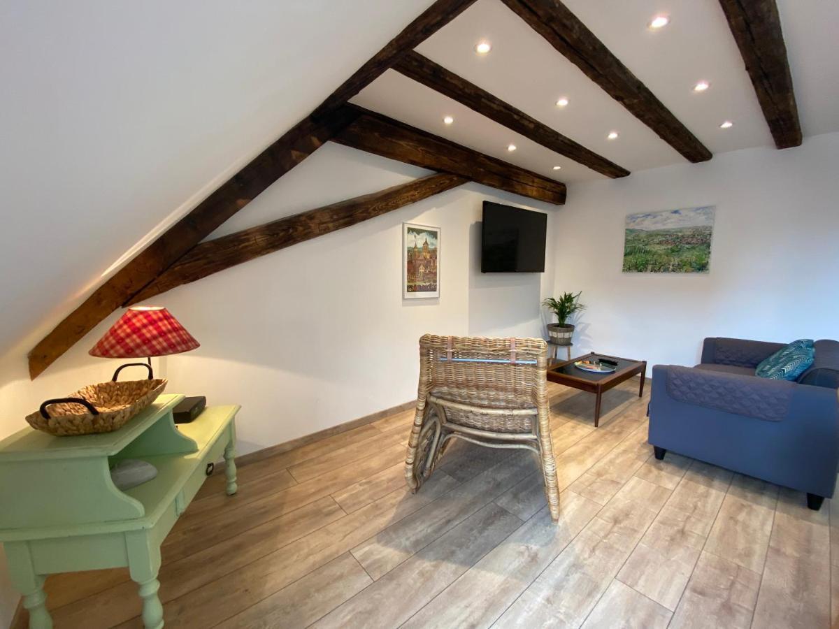 L'Ours de Colmar - Appartements en centre ville Extérieur photo