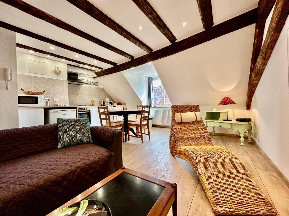 L'Ours de Colmar - Appartements en centre ville Extérieur photo